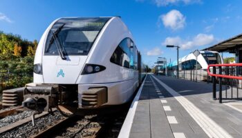 Нидерландская Arriva перевела свой парк поездов Stadler на биотопливо
